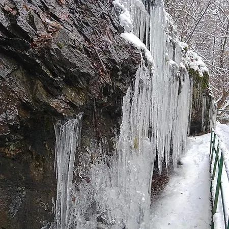 Tiny Treperka Semesterbostad