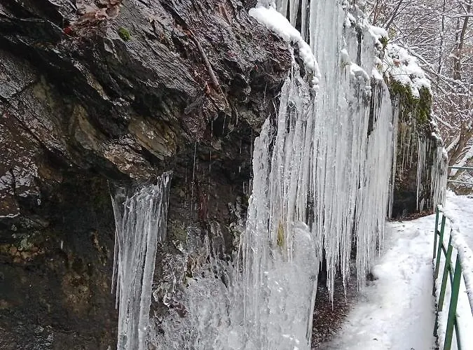 Tiny Treperka Nyaraló